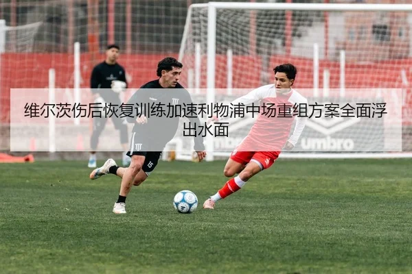 维尔茨伤后恢复训练加速利物浦中场重组方案全面浮出水面